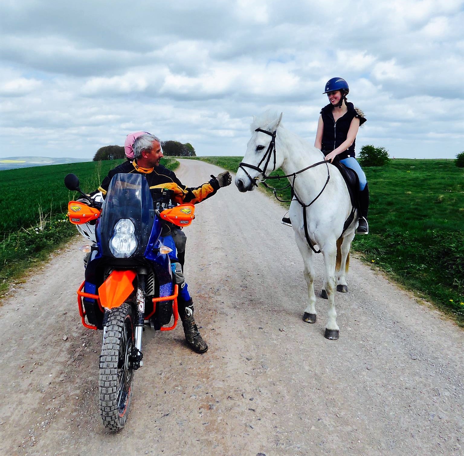 Nick Robinson Horse Crop