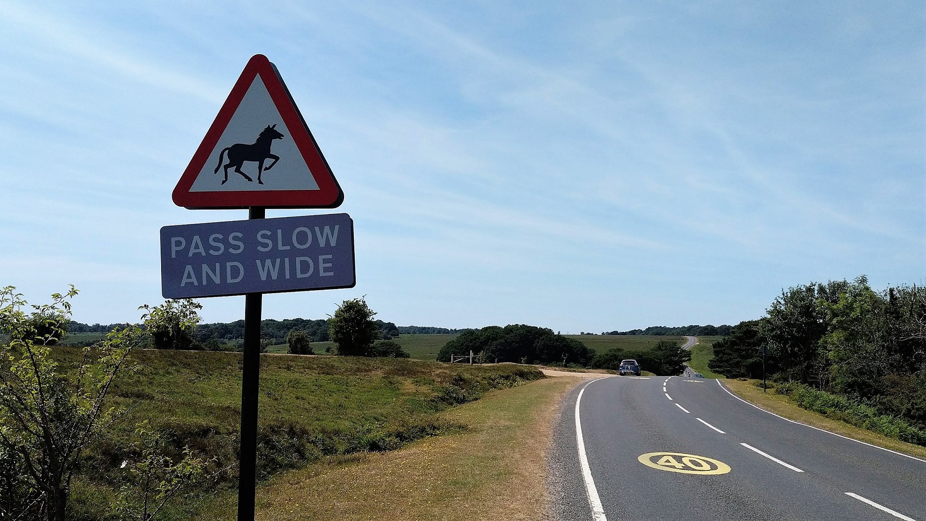 Pass wide and slow feral horse