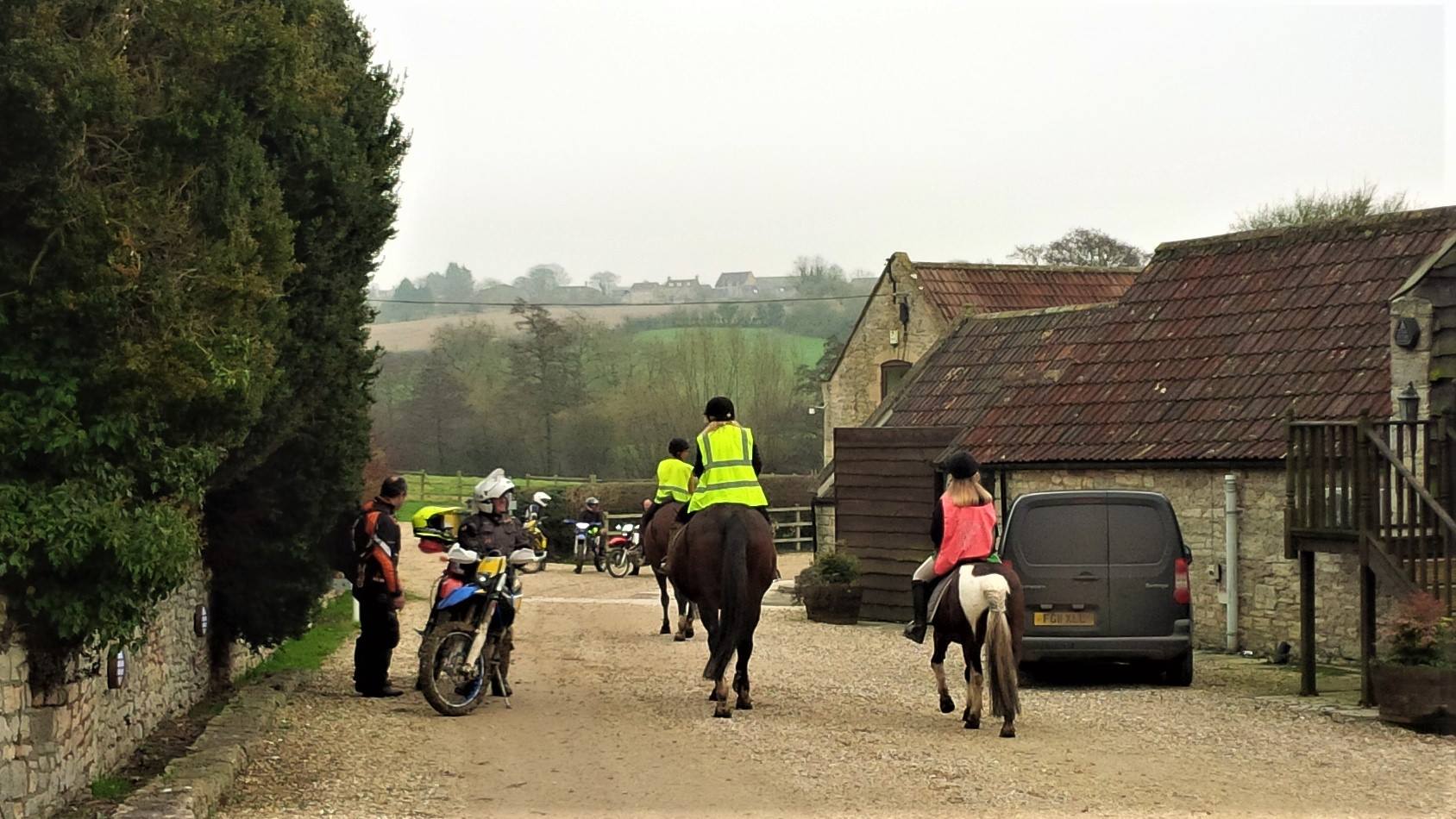 Horses Hi Viz